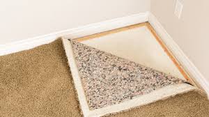 can black mold grow on carpet united