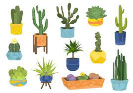 Cactuses In Pots Flat Icon Set Cactuses