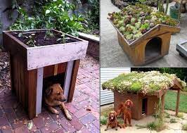 Build A Green Roof On Your Dog S House