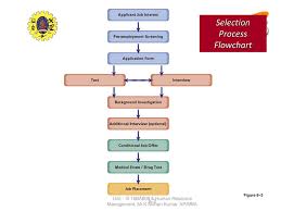 The Selection Process Legal Concerns In The Selection