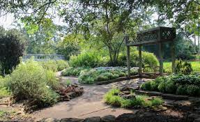 mercer botanic gardens master plan