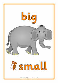 Image result for sizes eyfs