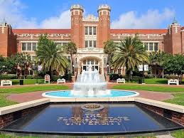 Assistance with University of Florida Application Essay Package