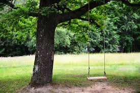 How to hang a swing between two trees. How To Hang A Baby Swing Safely From A Tree In 10 Minutes