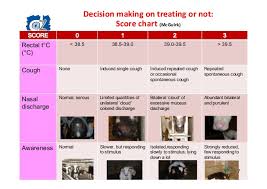 7 Dealing With Brd In Flemish Veal Calf Production