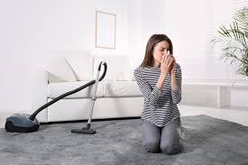 allergies time to clean your carpets