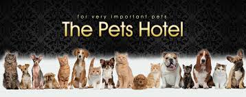 Melton is an urban area within metropolitan melbourne, australia located 35 km west from the capital's central business district. Welcome To The Pets Hotel Dog Cat Pet Accomodation Boarding Kennels Cattery