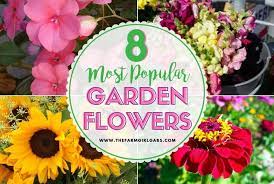 Popular Flowers For Your Flower Garden