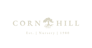 Corn Hill Nursery