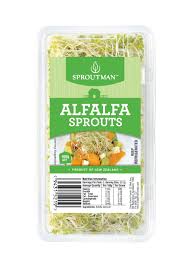 alfalfa sprouts gsf fresh