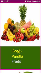 learn telugu fruits and vegetables