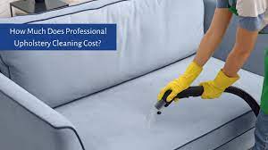 professional upholstery cleaning cost