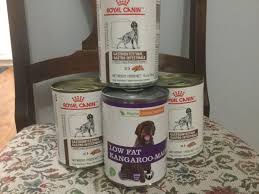 dog food 3 cans of royal canin