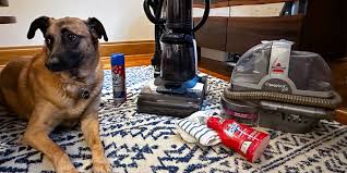 the best carpet cleaners for pets to