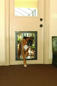 Plexidor 4 Way Lock Pet Door Xl