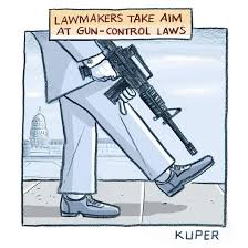 Image result for cartoons about gun control