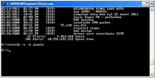 Cara mengembalikan file dari virus qlkm windows 10. Mengembalikan File Yang Hilang Karena Virus Aman Budi Manduro Personal Web And Blog