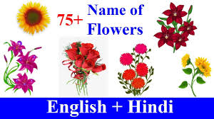 flowers name in english hindi