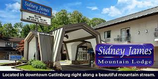 pet friendly pigeon forge hotels in the