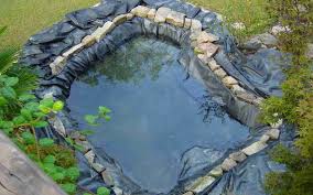 Right Liner For Your Pond Pvc Rubber