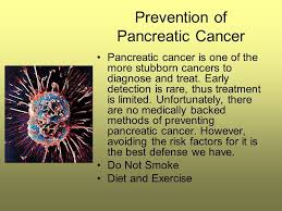 Agar pankreas anda sehat, fokuskan pada makanan yang kaya akan protein, rendah lemak hewani, dan mengandung antioksidan. Diet Dan Pencegahan Kanker Pankreas Kanker 2021
