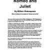 Romeo and Juliet blame essay