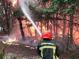 Gironde : un incendie brûle neuf hectares de forêt en pleine nuit, dans le  Médoc | Actu Bordeaux