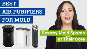 best air purifier for mold and mildew