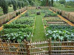 Garden Layout Vegetable Garden Layout