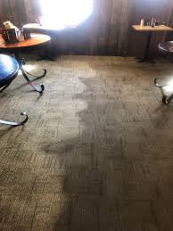 gallery bianchi carpet cleaning