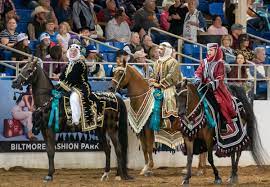 scottsdale arabian horse show