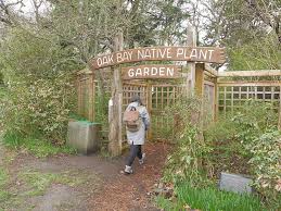 oak bay native plant garden edimentals