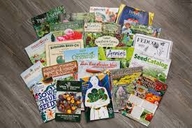 6 best seed catalogs for organic