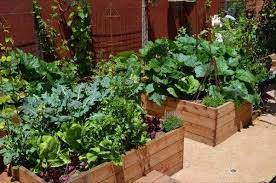 Diy Raised Vegetable Gardens Clever