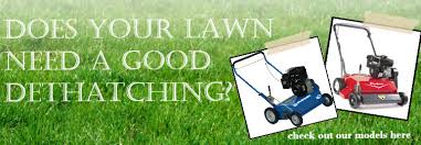 The sprinkler system may not be putting out enough water or putting it out unevenly. Dethatch Your Lawn This Spring For Beautiful Healthy Grass Runyon Equipment Rental Blog