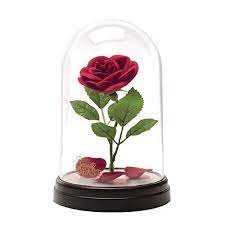 Beauty The Beast Rose For