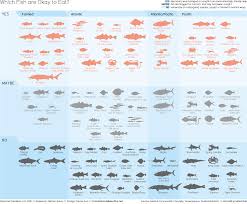 Which Fish Are Ok To Eat This Infographic Helps You Choose