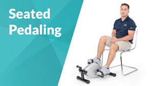 pedal exerciser chair cardio workout
