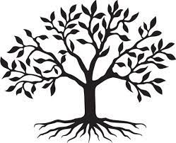 tree clipart images browse 243 164