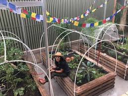 Organic Urban Garden For Your Jakarta