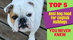Top 5 Best Dog Food For English Bulldogs You Never Knew