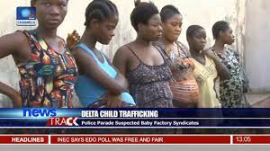 Police Parade Suspected Baby Factory Syndicates In Delta - YouTube