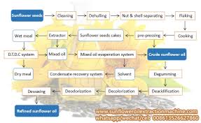 Sunflower Seed Oil Production Manufacturing Process Analysis