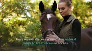 treating ulcers in horses naturally