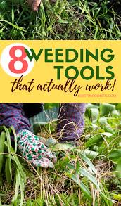 Tools To Banish Weeds From Your Garden