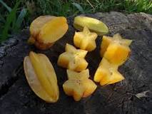 can-dogs-eat-starfruit