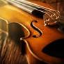 Mas escasos que los violines Stradivarius de www.eltiempo.com