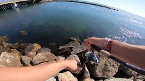 Bay fishing is fishing in the large enclosed pockets of water that connect to the main ocean but are further inland. Saltwater Fishing Setup For Beginners Our Beautiful Planet