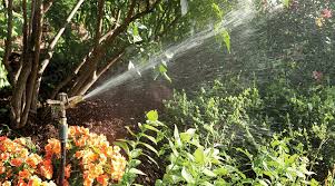best sprinkler for large areas 2021
