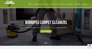 the 6 best carpet cleaning companies in